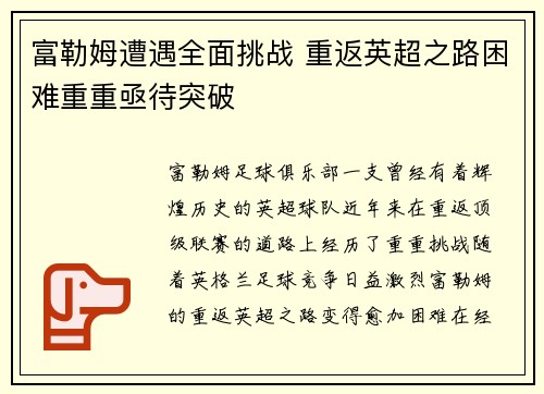 富勒姆遭遇全面挑战 重返英超之路困难重重亟待突破