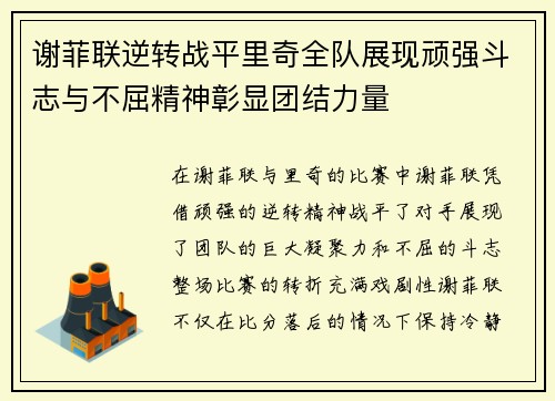 谢菲联逆转战平里奇全队展现顽强斗志与不屈精神彰显团结力量